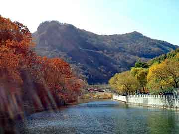 管家婆黑白马报图库，牧草价格